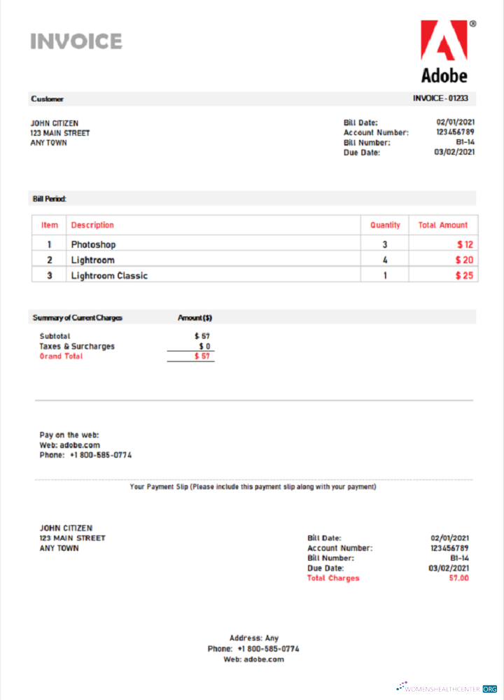 Download USA Adobe invoice Photoshop template